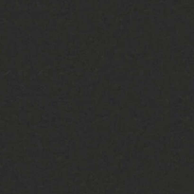 Carbon FV 409 59 x 59 cm LINO Click